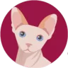 Lilypop