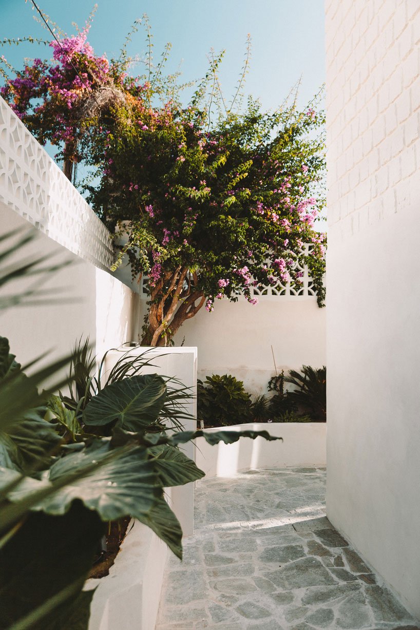 la casa santa teresa d'Amelia tavella célèbre la nature sur l'île de corisca designboom