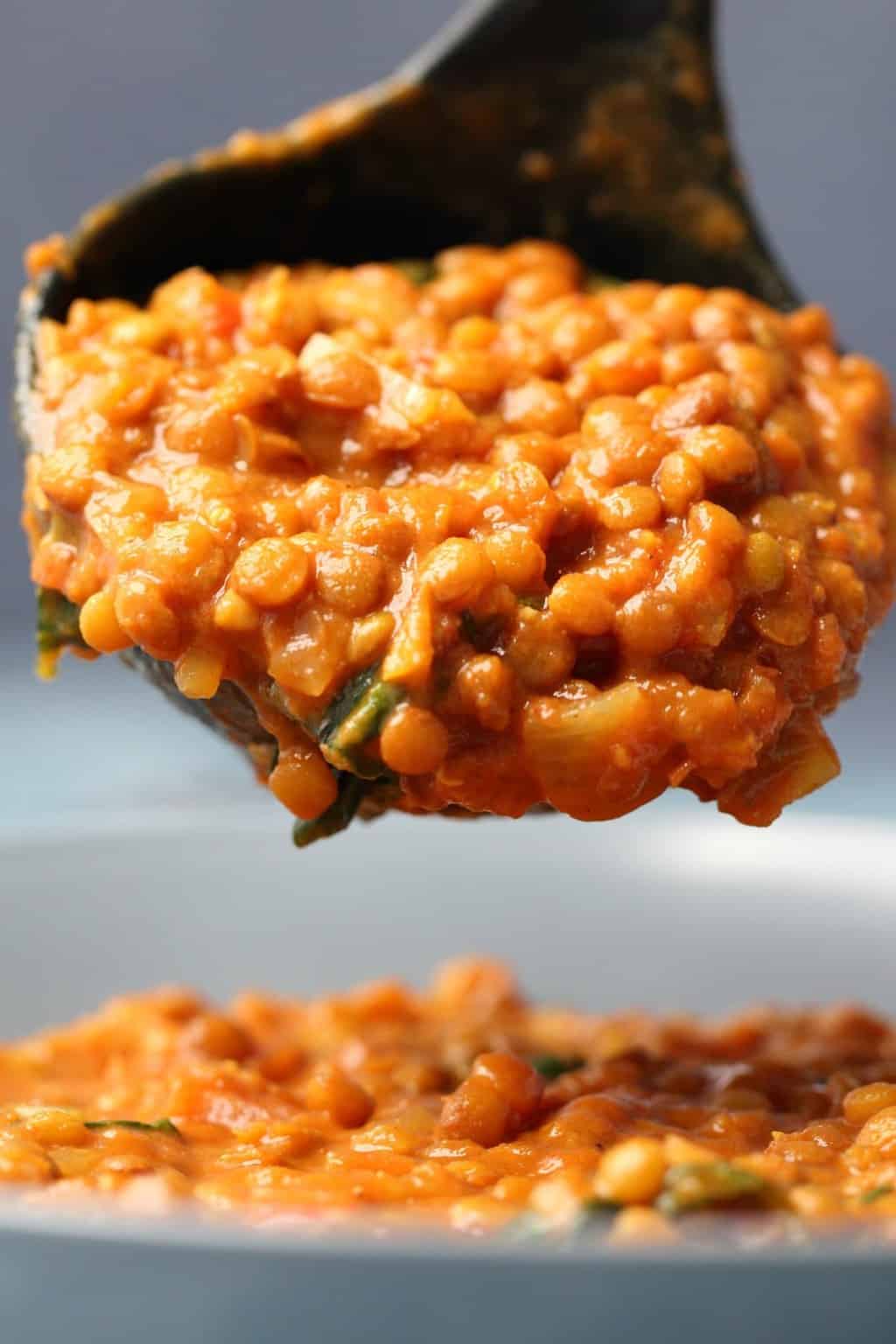 Curry de lentilles végétalien servi d'une louche dans un bol.