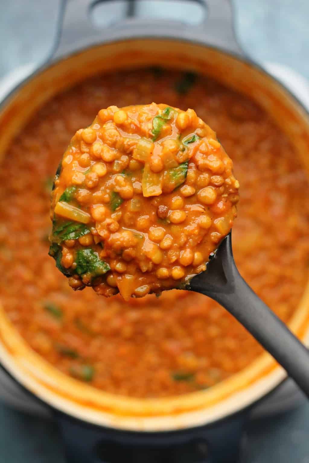 Curry de lentilles végétaliennes dans une casserole avec une louche.