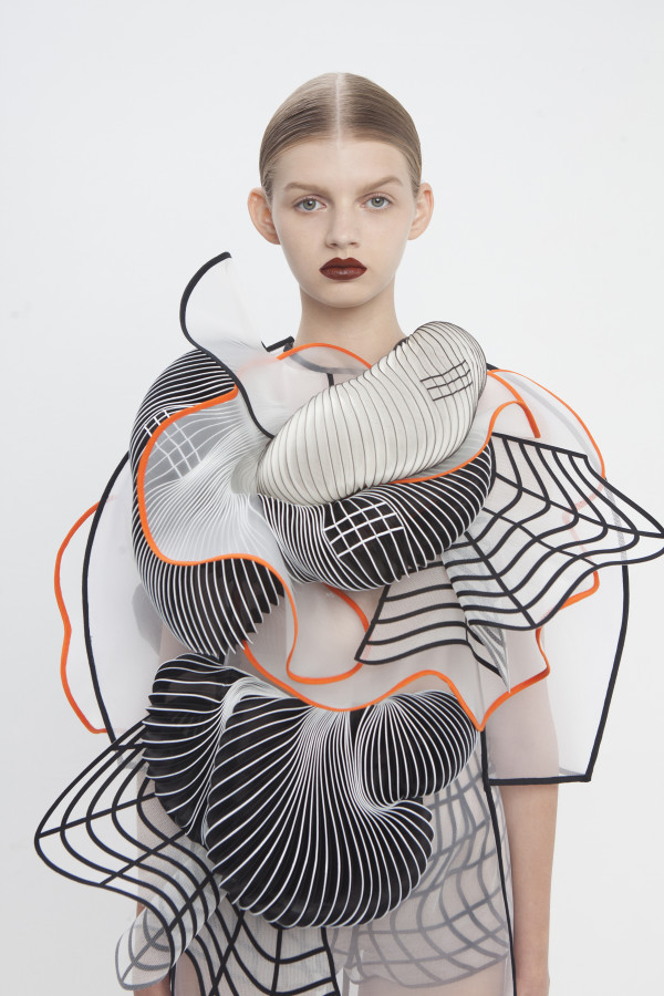 collection de diplômés noa raviv8