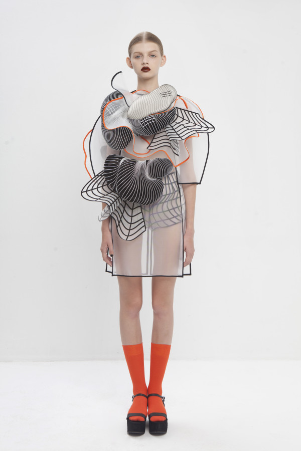 collection de diplômés noa raviv7