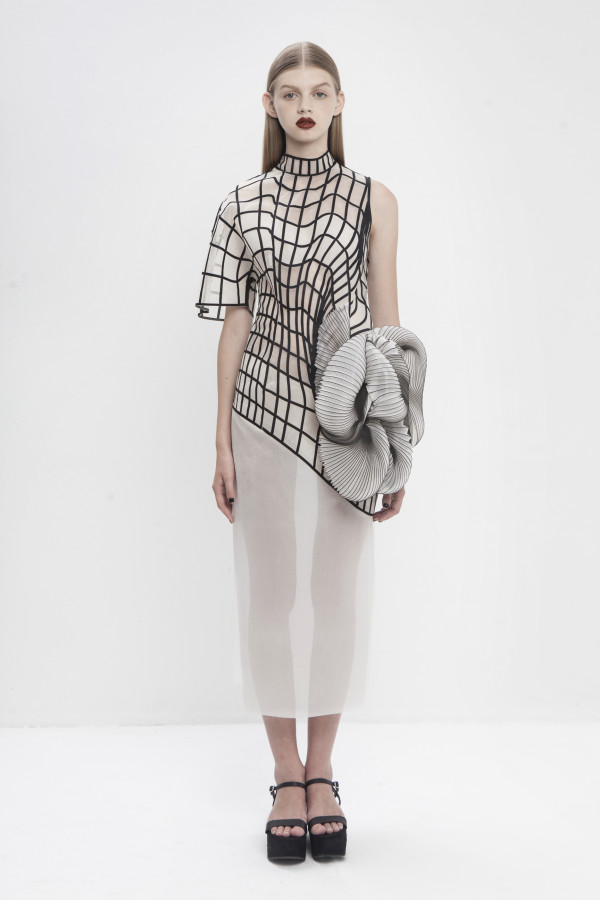 collection de diplômés noa raviv15