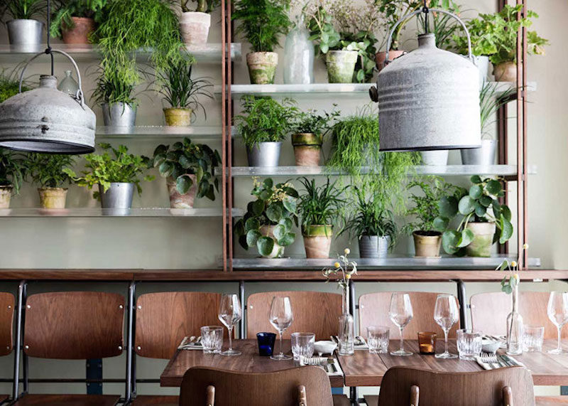 vakst-restaurant-in-copenhagen-is-green-oasis-7 