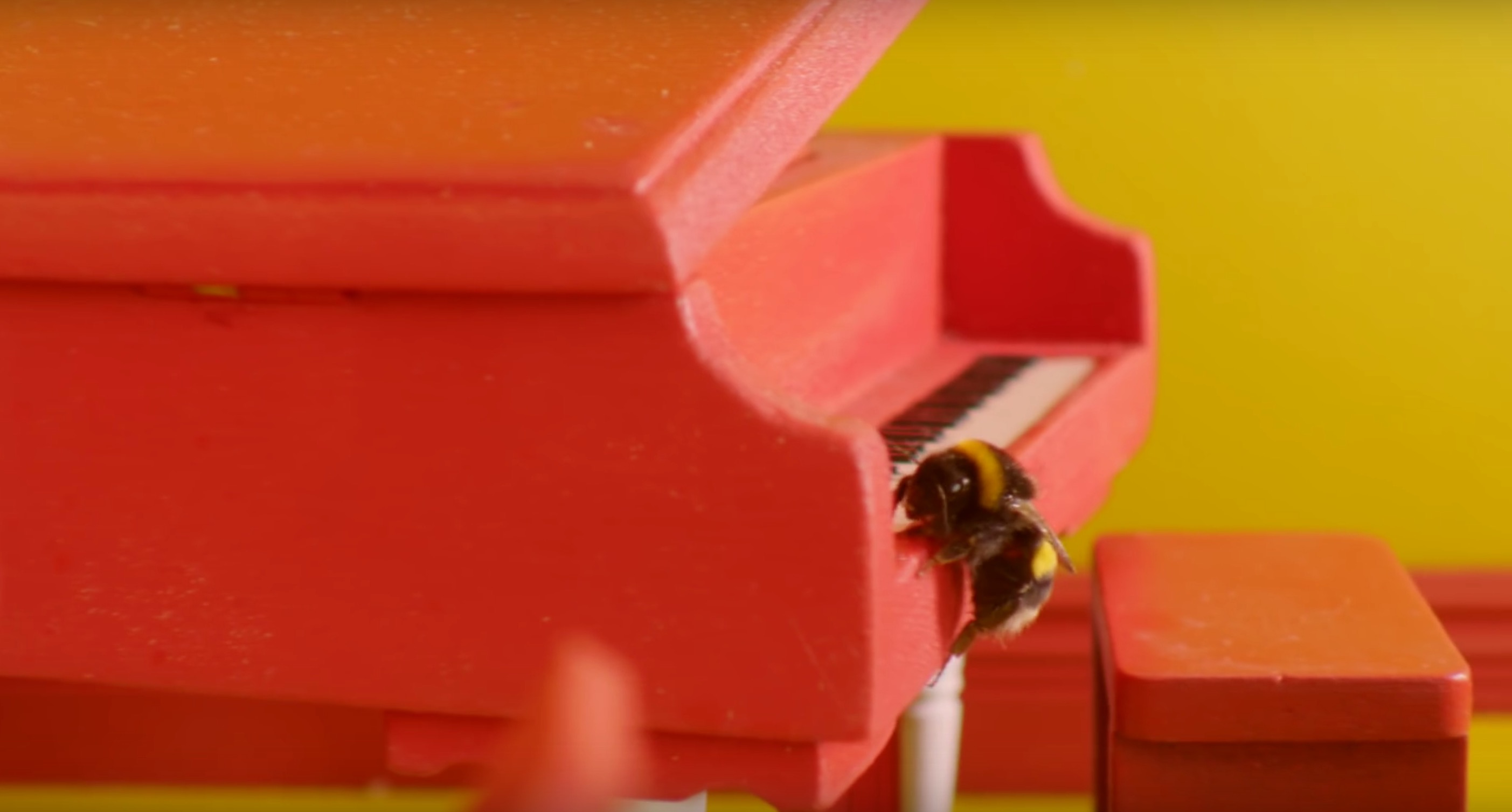 beeapest-luxury bee hotel-5
