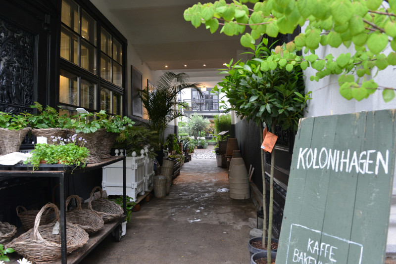 Kolonihagen_8
