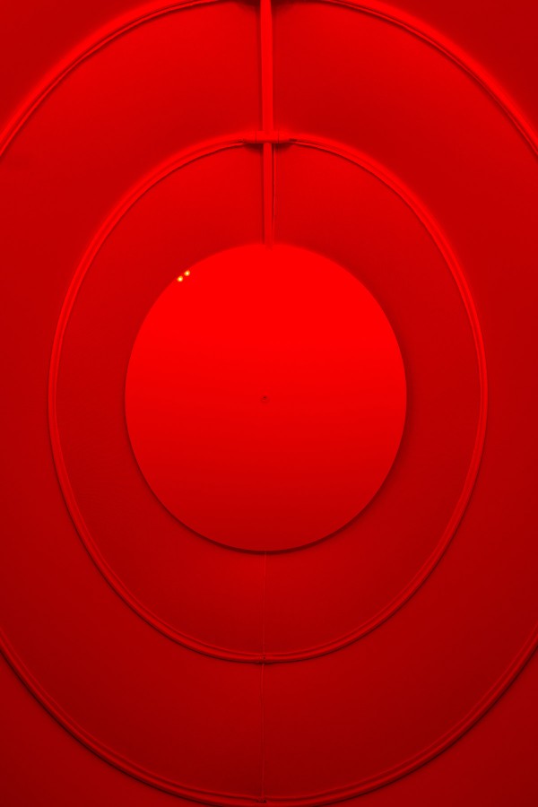 mycoocoon05 