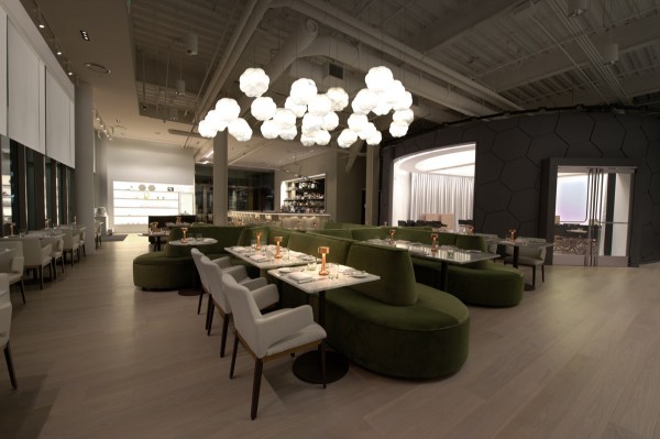 cafe-ArtScience-by-Mathieu-Lehanneur-01 