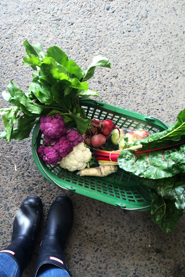 Salade de chou-fleur-Salade-Raifort-Aneth-Yaourt-vinaigrette-4 