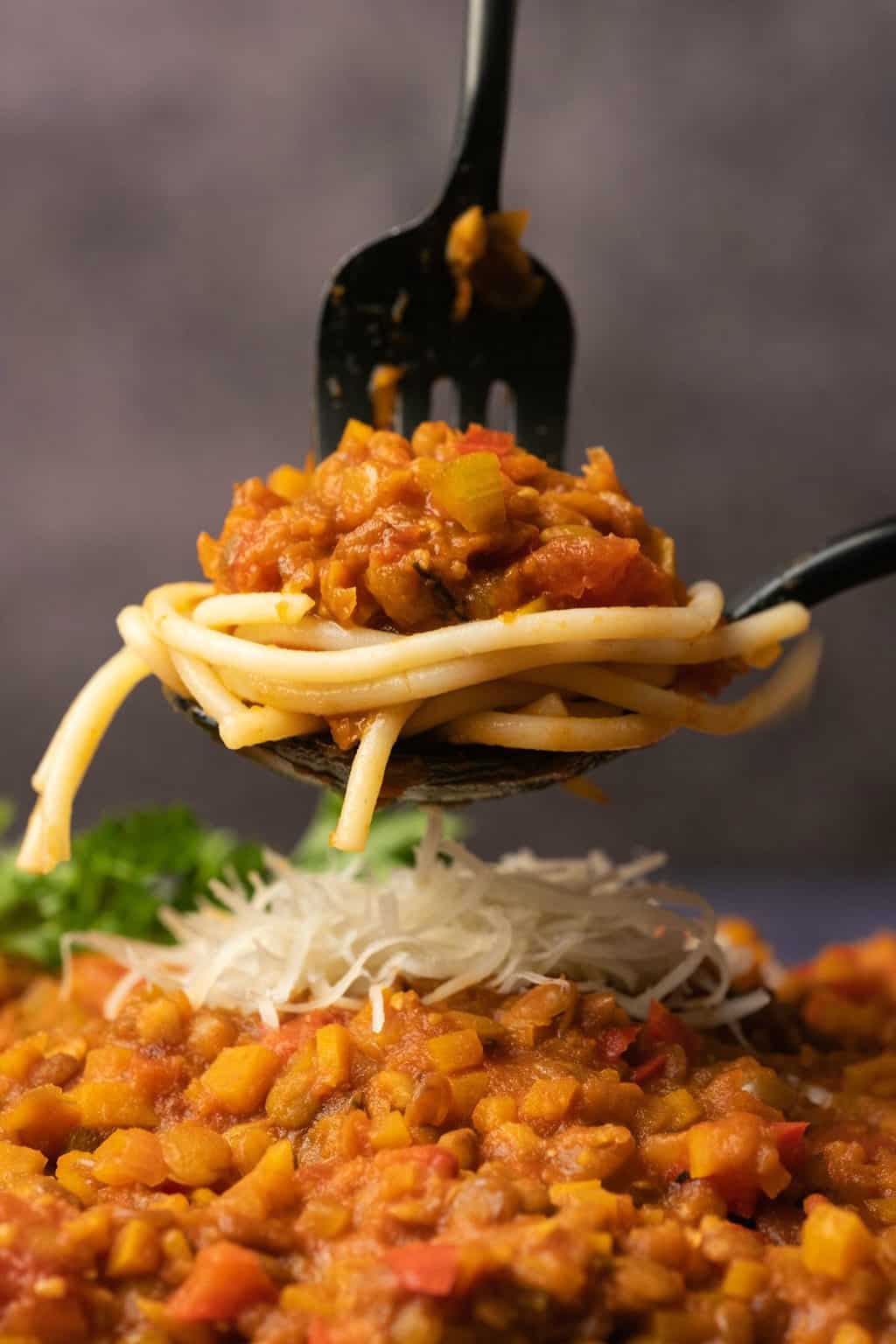 Fourchette de bolognaise aux lentilles avec des spaghettis.