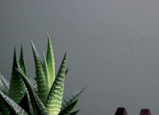 Collection «Chocolate» Room Service – Gourmet