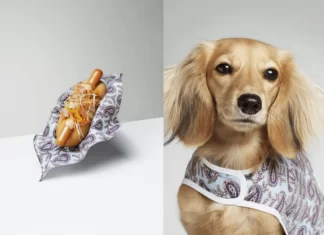 Dog Eat Dog for The Gourmand – Gourmet