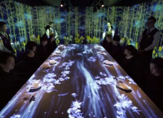Expérience culinaire interactive au Sagaya de Tokyo By TeamLab – Gourmet