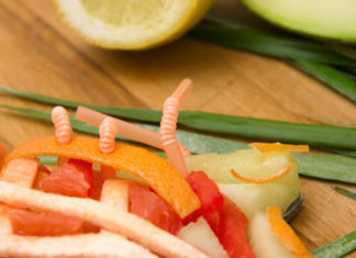 Fruitarian Shoes – Gourmet