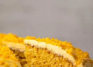 Gâteau à l’orange végétalien – l’aimer végétalien Gâteau orange végétalien en tranches avec un poussoir à gâteau.