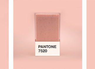 Hedvig Astrom Yummy Pantone Smoothies – Gourmet