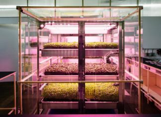 Ikea vous apprend à utiliser une ferme hydroponique verticale – Gourmet