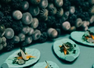 Pepi de Boissieu Gorgeous Food Installations – Gourmet