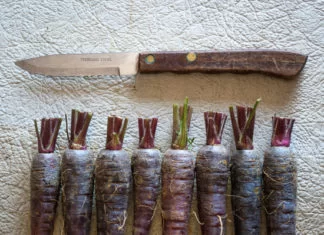 Risotto aux truffes avec gras de canard et carottes – Gourmet