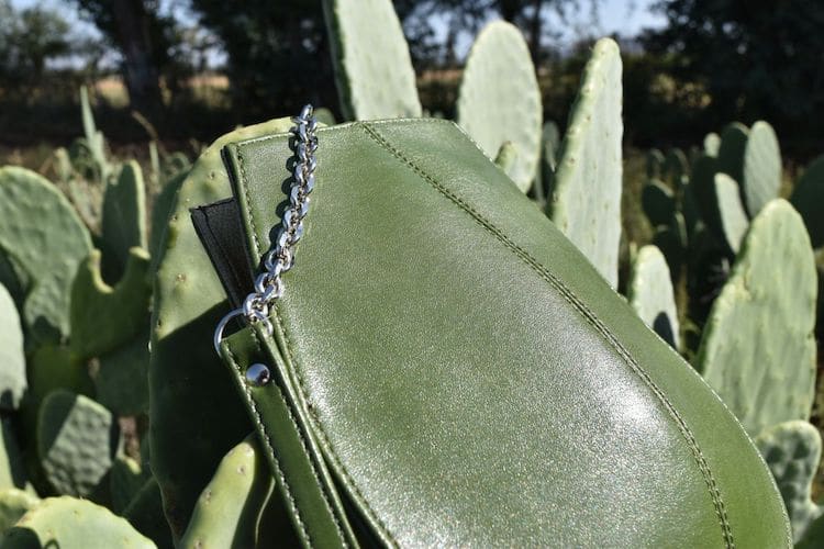 Alternative en cuir pour animaux en cactus