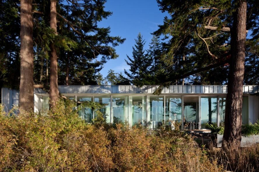une maison d'un étage presque cachée par la verdure