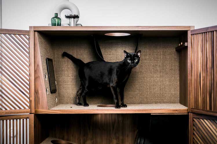 Condo élégant pour chat