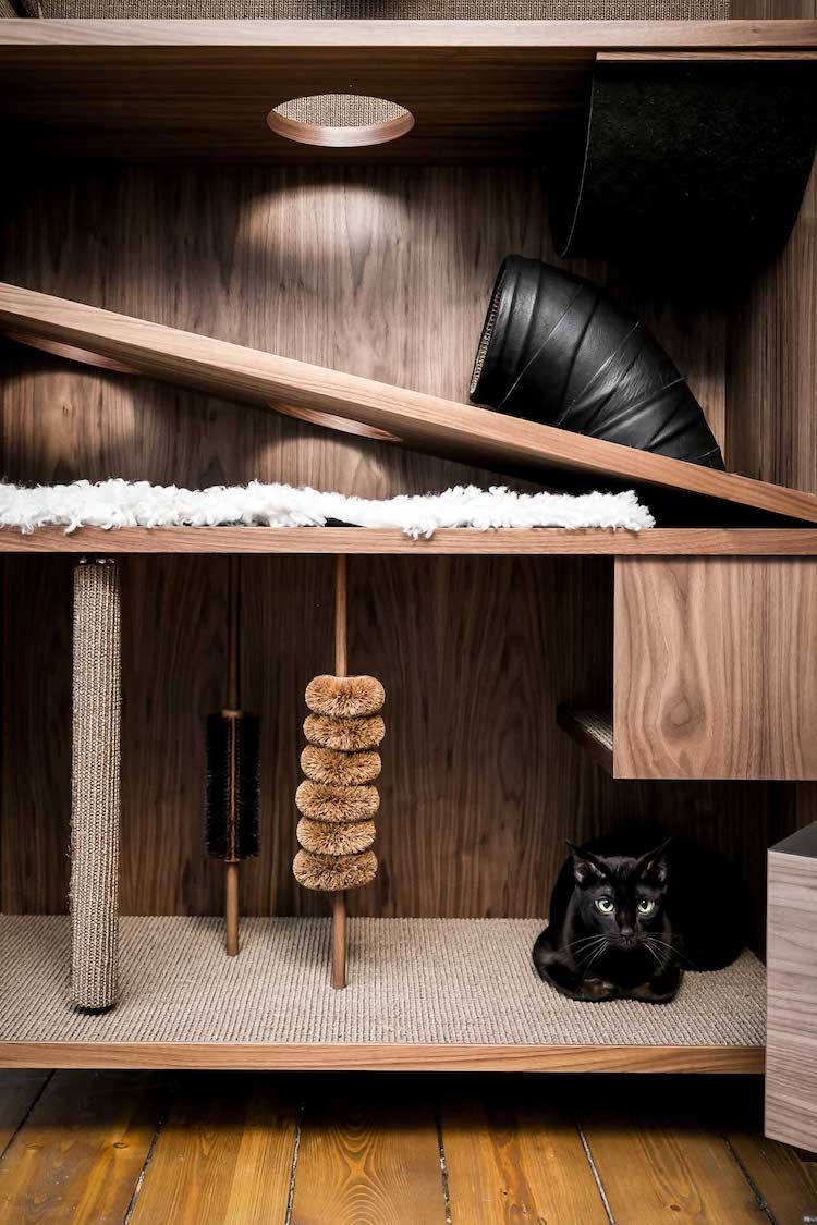 Les meubles élégants pour chats sont emballés avec 10 choses pour les rendre heureux