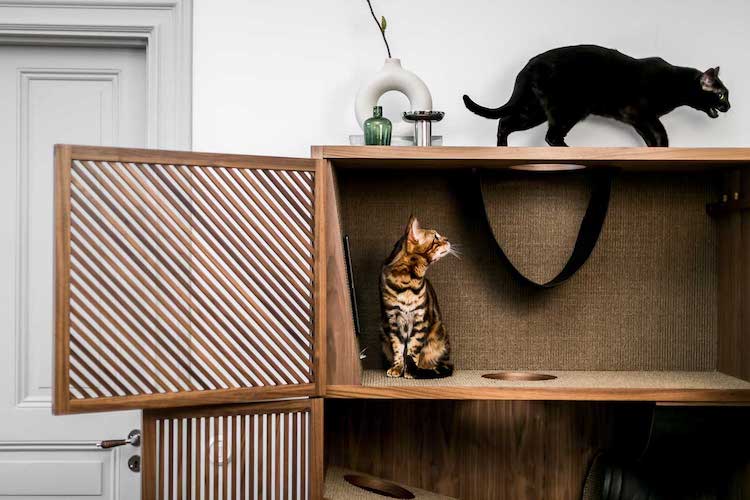 Les meubles élégants pour chats sont emballés avec 10 choses pour les rendre heureux