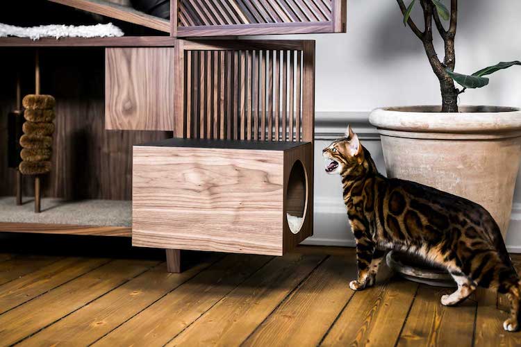 Les meubles élégants pour chats sont emballés avec 10 choses pour les rendre heureux