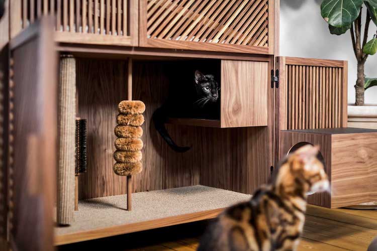 Condo de chat