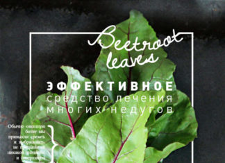 Affiches de nourriture de Kristina Razueva – Gourmet