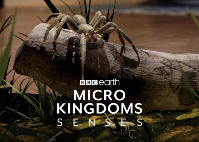 BBC Micro Kingdoms