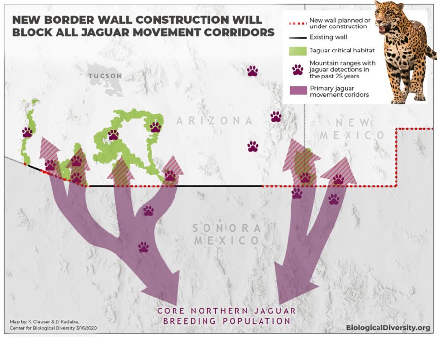 carte des couloirs jaguar entre les États-Unis et le Mexique