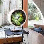 Jardin intérieur inspiré de la NASA – Geeky Gadgets