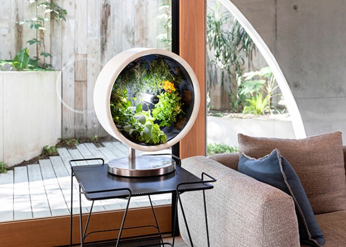 Jardin intérieur