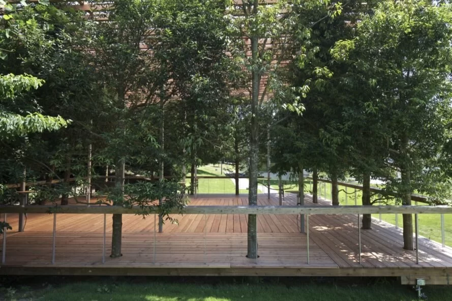 arbres poussant à travers un pavillon en bois