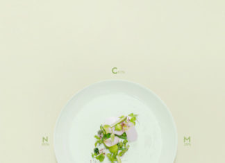 Palettes culinaires monochromatiques – Gourmet