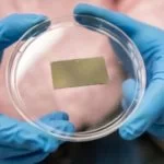 Les scientifiques se rapprochent de la photosynthèse artificielle pour les énergies renouvelables
