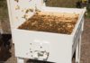 Cette ruche en plastique recyclé est conçue pour les abeilles heureuses