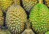 Des chercheurs convertissent les biodéchets de durian et de jacquier en ultracondensateurs