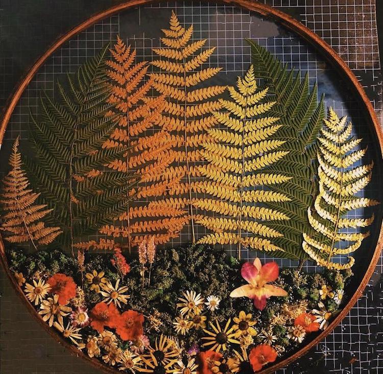 Terrarium de bijoux en chêne Jupiter