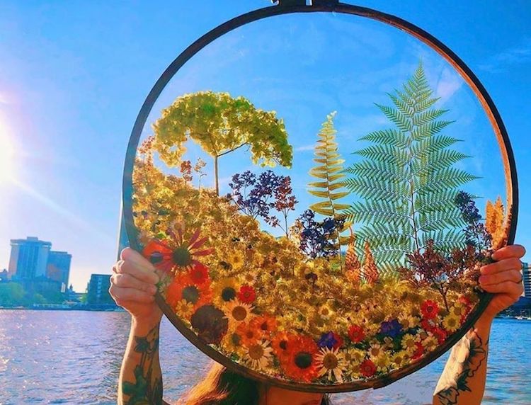 Terrarium de bijoux en chêne Jupiter