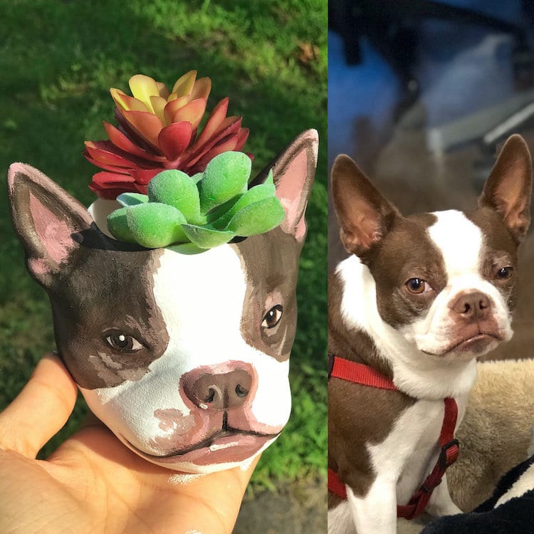 Jardinière personnalisée pour animaux de compagnie