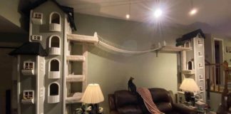 L’homme construit un grand arbre à chat sur toute la longueur de son salon