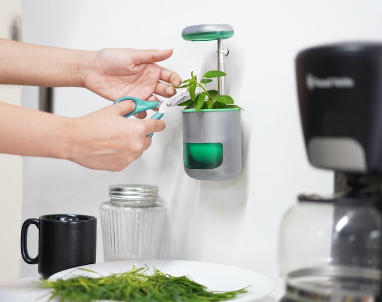 Pico, la jardinière à arrosage automatique