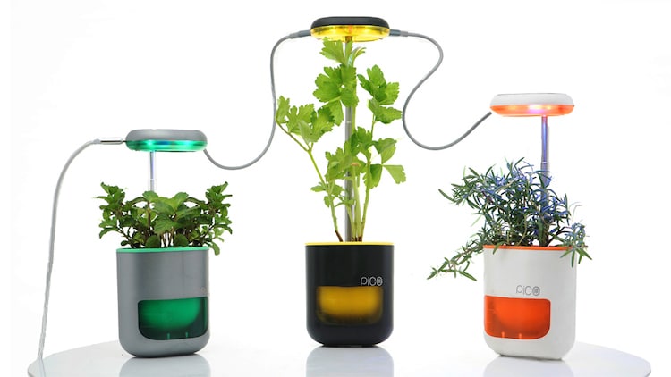 Jardinière lumineuse Pico