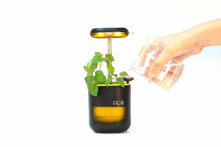 Pico, la jardinière à arrosage automatique