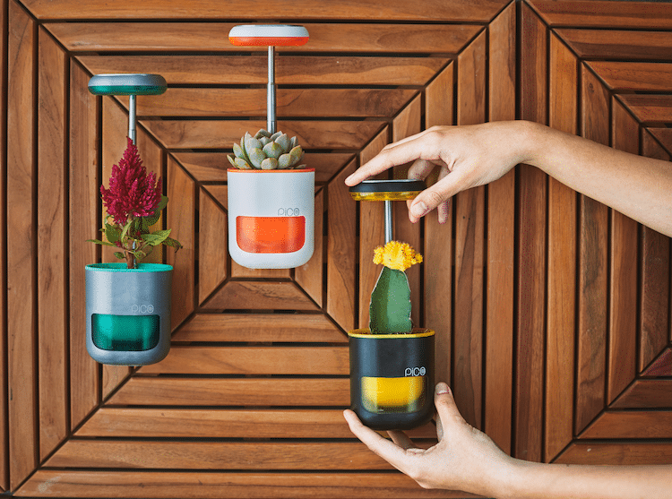 Pico, la jardinière à arrosage automatique
