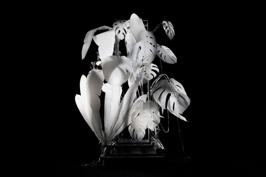 une œuvre d'art blanc illuminé sous la forme d'une plante à feuilles sur un fond noir