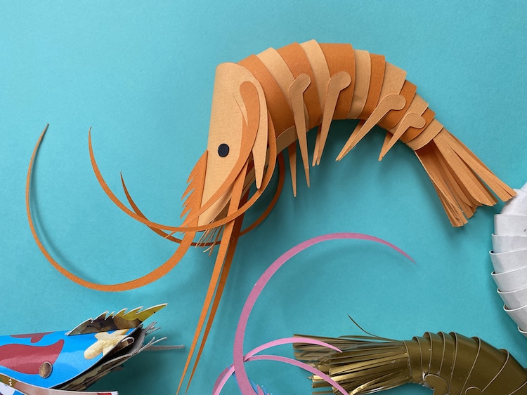 Paper Prawns par Lisa Lloyd